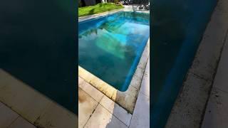 Green to clean!!  #asmr #swimmingpool #satisfying