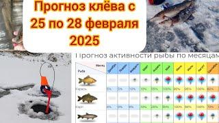 ПРОГНОЗ КЛЕВА С 25 ПО 28 ФЕВРАЛЯ.ЛУННЫЙ КАЛЕНДАРЬ.