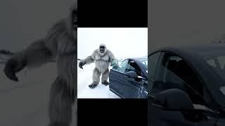 Finding a Tesla - Yeti Vlog #tesla