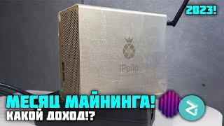 МЕСЯЦ МАЙНИНГА НА АСИКЕ IPOLLO V1 MINI!