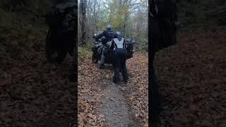 Sections of the Northeast Backcountry Discovery Route is absolutely stunning in the fall! @RideBDR