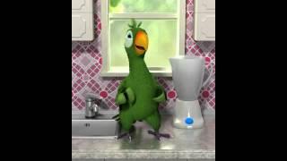 Talking Pierre the Parrot song remix katy Perry kesha