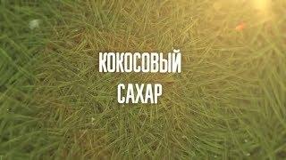 Кокосовый сахар | Энциклопедия здорового питания