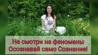 Не смотри на феномены, осознавай само сознание.