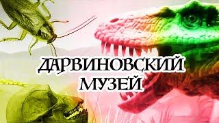 Дарвиновский музей