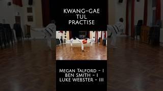 Kwang-Gae Tul Practise #taekwondo #martialarts #practice #sports #progress #blackbelt #kwanggae