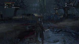 Bloodborne Кооператив решает