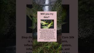 Will you try this?#fanwer #healthcare #healthyfood #healthylifestyle #healthliving #corn silk