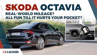 How Efficient is the New Skoda Octavia in the Real World? | CarWale #shorts