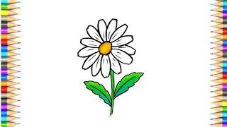 Daisy Flower Drawing || How to Draw Daisy Flower Step By Step || Easy Flower Drawing || #Daisyflower