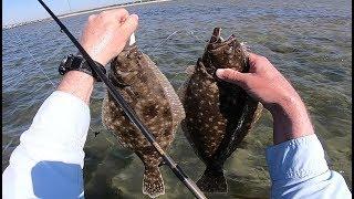 Shore Wading for Summer Flounder (Fluke) - Lots of Fish!