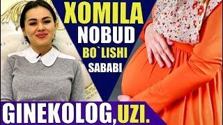 ХОМИЛА НОБУД БЎЛИШИ САБАБЛАРИ | XOMILANI NOBUD BO`LISH SABABLARI