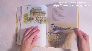 Книга Времена года. Стихи русских поэтов