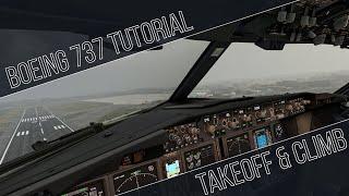 [ITA] PMDG 737 TUTORIAL - TAKEOFF & CLIMB