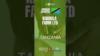 KIBIDULA FARM LTD #TANZANIA SROMPL | AVOCADO EXPORTER