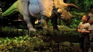 20100703 Eric Andrew Field Museum Dinosaurs