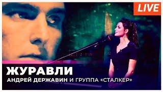 Андрей Державин - Журавли (live Музыка+)