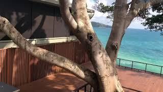 PULLMAN PHUKET ARCADIA NAITHON BEACH