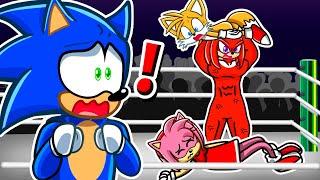 Sonic and Tails vs Knuckles and Amy in WWE…