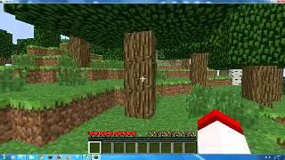 Minecraft PlayThrough Part 1 (New World!)