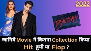 Varun Dhawan BHEDIYA 2022 Bollywood Movie Lifetime Worldwide Box Office Collection Budget Hit & Flop