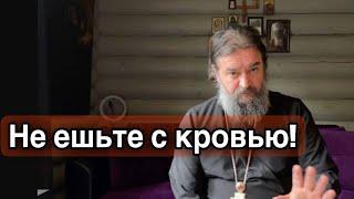 Душа животного в крови его. Отец Андрей Ткачёв