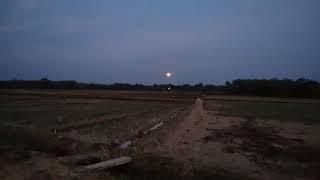 Cinematic Bulan sawah...link Mediafire Bocil Tk &Ayah Di dogy styleLINK DI KOMEN