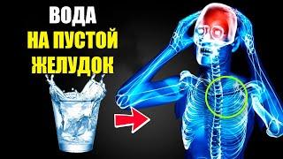 ЧТО НА САМОМ ДЕЛЕ ПРОИСХОДИТ, КОГДА ВЫ ПЬЁТЕ ВОДУ НА ПУСТОЙ ЖЕЛУДОК. НАУКА О ГОЛОДАНИИ