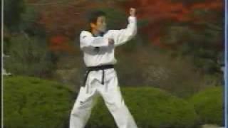 12. Taekwondo Poomsae Pyongwon (WTF)