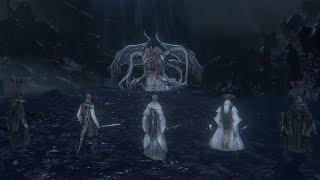 Ebrietas, Daugher of the Cosmos VS Arcane Squad (Bloodborne Boss VS Boss Mod)