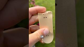 What I do with my old fingerboards… #lcboards #fingerboard #skateboard #skate #techdeck #fingerskate