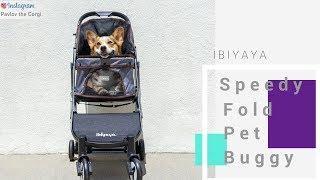 A Day In My Life With IBIYAYA Pet Stroller | FS1670  Speedy Fold Pet Buggy | IBIYAYA