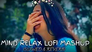 Mind ReLax LofI MaShup song new 2024 Hindi