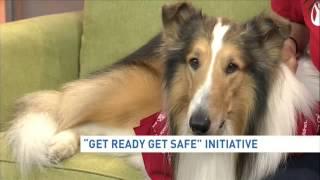 Save the Children and Lassie talk about the "Get Ready Get Safe" initiative