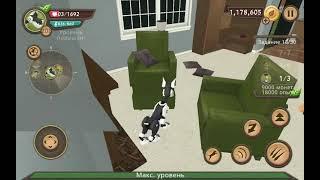 Показываю известные популярные баги в Dog Sim. ПОЧЕМУ МЕНЯ СМОТРЯТ ДЕВОЧКИ???!