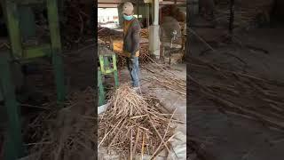 Rattan cane production | Rattan cane manufacturer in Viet Nam | WhatsApp: +84982282997