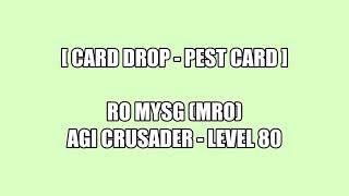 Ragnarok MySg (mRO) - Card Drop | Pest Card | Agi Crusader Leveling