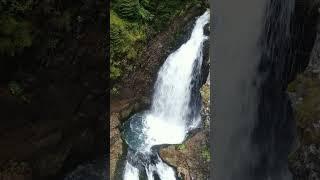 Waterfall Romania Mountain Nature Green Tourism.shorts.Водопад Румыния Гора Природа Зеленый Туризм.