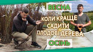 Коли краще садити плодові дерева? Осінь чи весна? #колисадитиплодовідерева #посадкаплодовихдерев