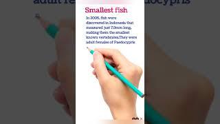 the smallest fish | paedocypris progenetica #fish #shorts