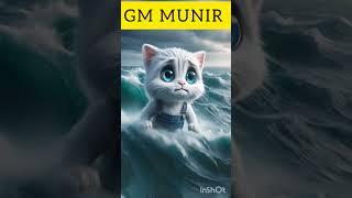 Off#mom cat#GM MUNIR