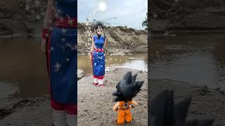 Goku and his minions Goku Toy