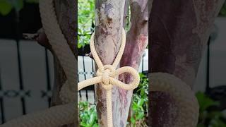 Artistic Knots #rope #knot #climbing #diy