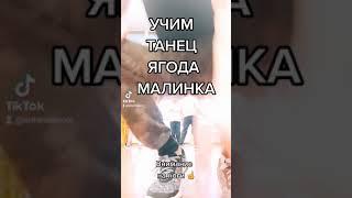 УЧИМ ТАНЕЦ ЯГОДА МАЛИНКА ХАБИБ / ОБУЧЕНИЕ ТАНЦАМ ИЗ ТИК ТОК ТРЕНДОВ 2021 ШАФЛ УРОКИ ТАНЦЕВ С НУЛЯ.