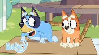 Primavera com Bluey  | Bluey Português Brasil Canal Oficial