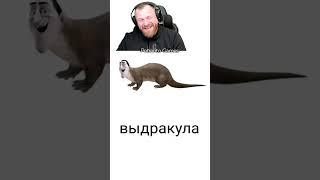 Петренто батутка 2 #петренто #petrento #приколы #прикол #мемы #реакция #мем #memes #funny #юмор