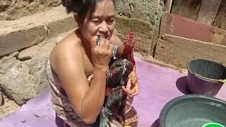 KISAH BIDADARI DAN AYAM JANTAN // Siang-siang  bidadari gabut turun ke bumi mandiin ayam