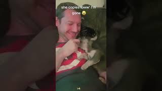 Funny French Bulldogs#dog  #PetTok #funnypets #doglover #petfyp #foryou #funny #funnydog #usa