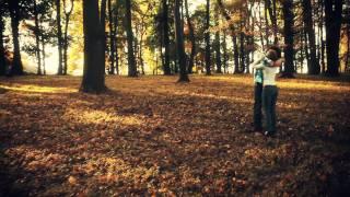 "Let's Go the Distance" - Dave Reed (Official Video)
