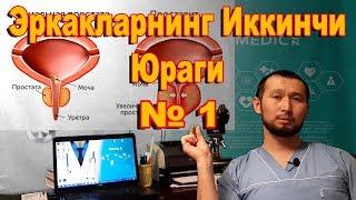 #MEDICUZ #VENEROLOG #DOCTORSPB Эркакларнинг иккинчи Юраги №1